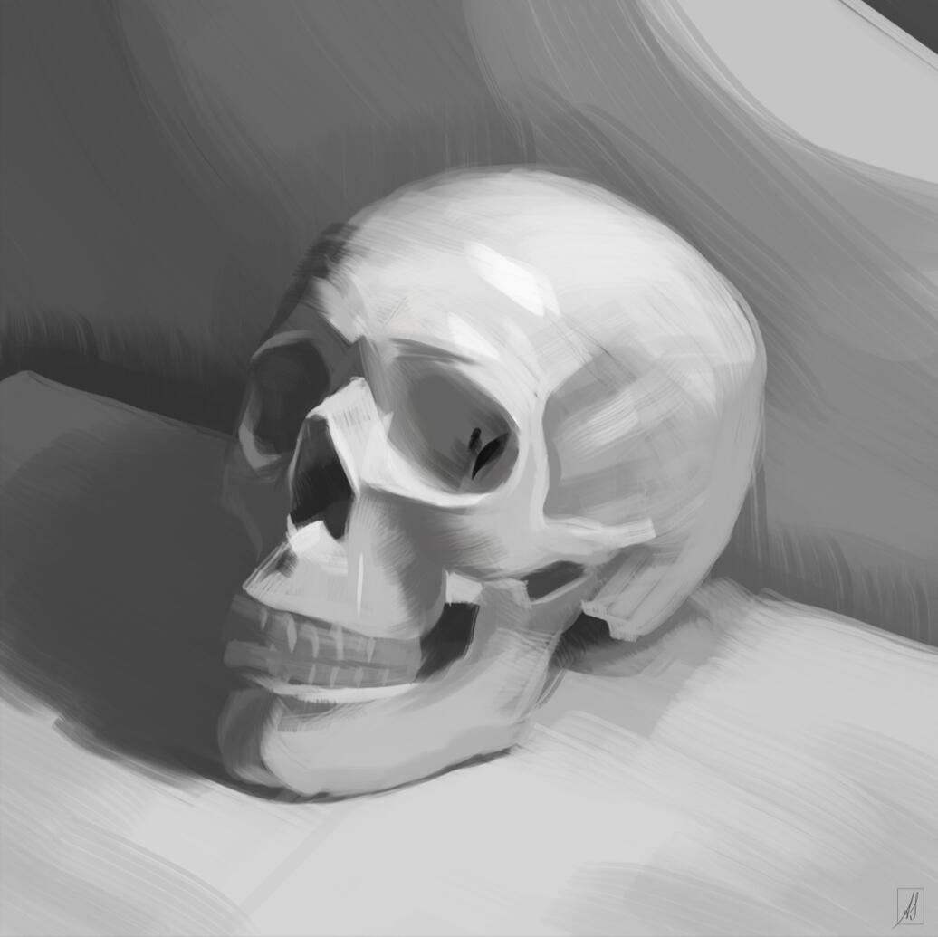 Skull study